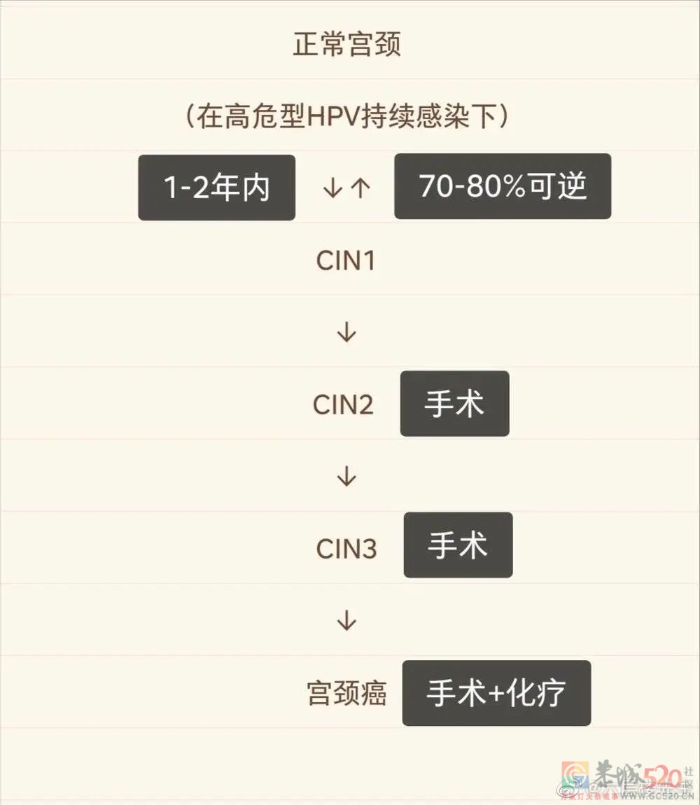 被“HPV焦虑”围猎的女孩们899 / 作者:儿时的回忆 / 帖子ID:298848