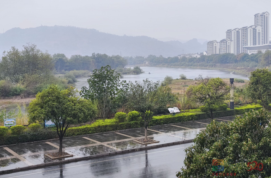 下雨了，一早水电宾馆路口摔了好几人了242 / 作者:清风哥 / 帖子ID:301400