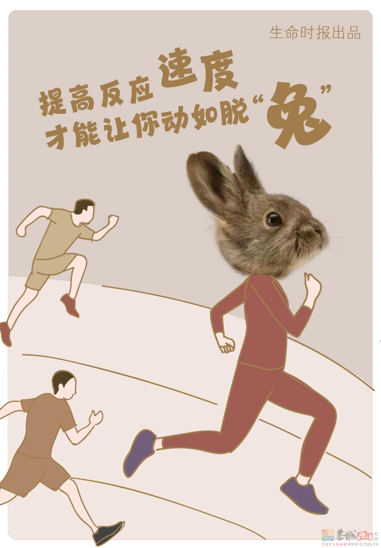 在“养生”这件事上，我劝你学学「兔子」220 / 作者:健康小天使 / 帖子ID:303571