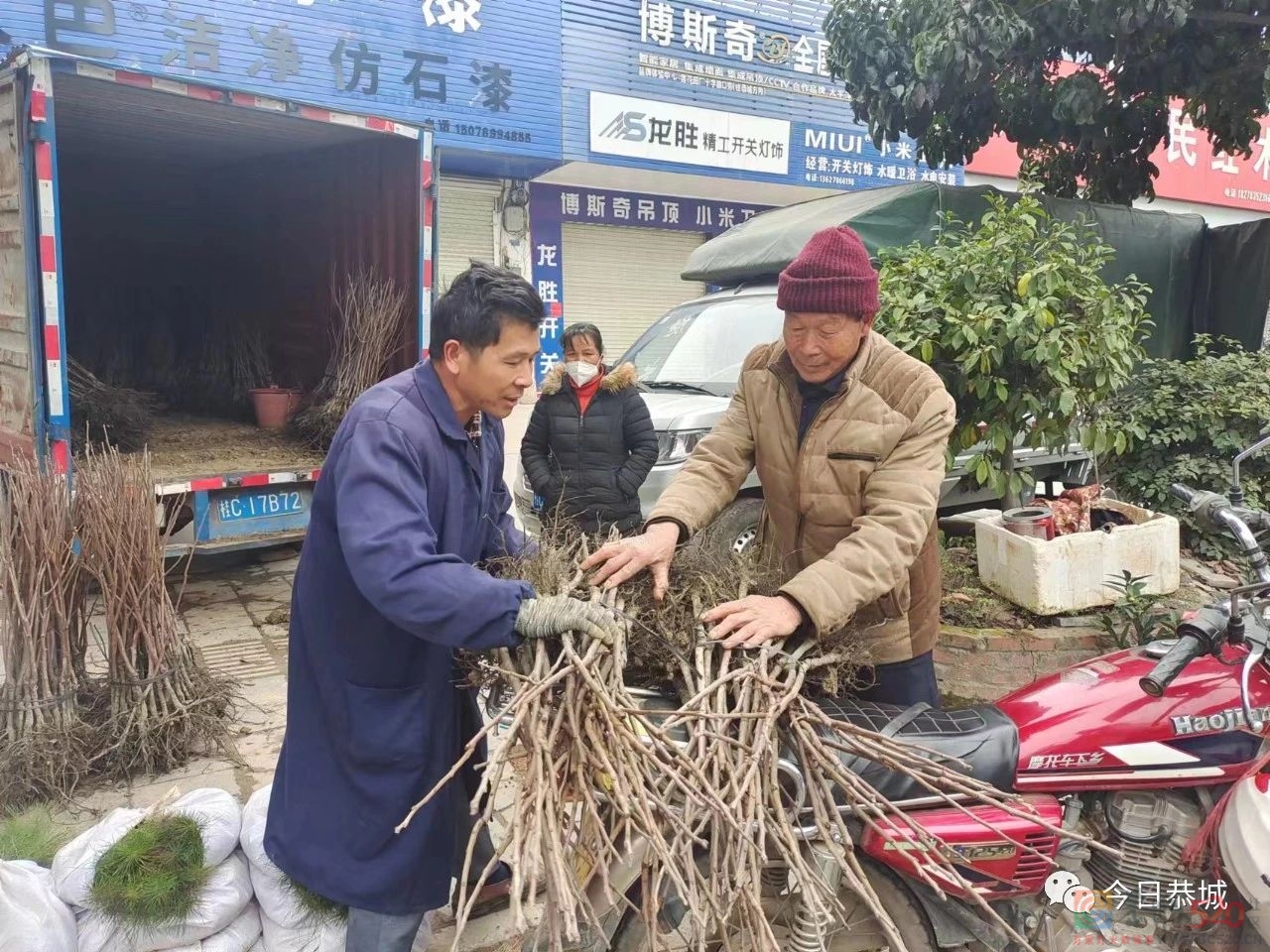 春暖备耕忙 苗木市场销售旺668 / 作者:论坛小编01 / 帖子ID:303966