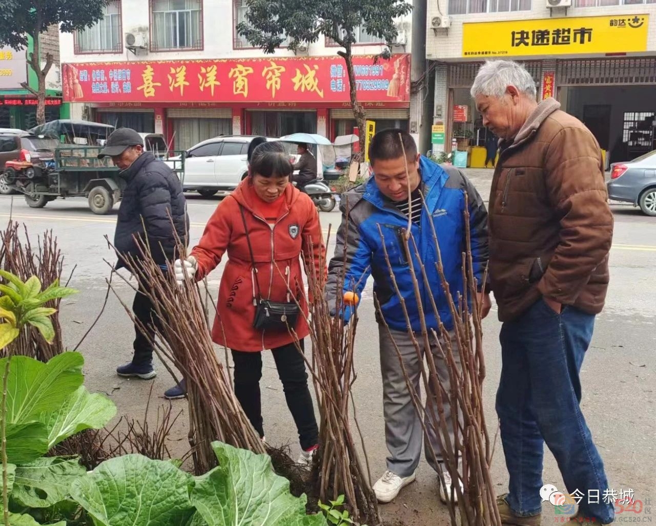 春暖备耕忙 苗木市场销售旺436 / 作者:论坛小编01 / 帖子ID:303966