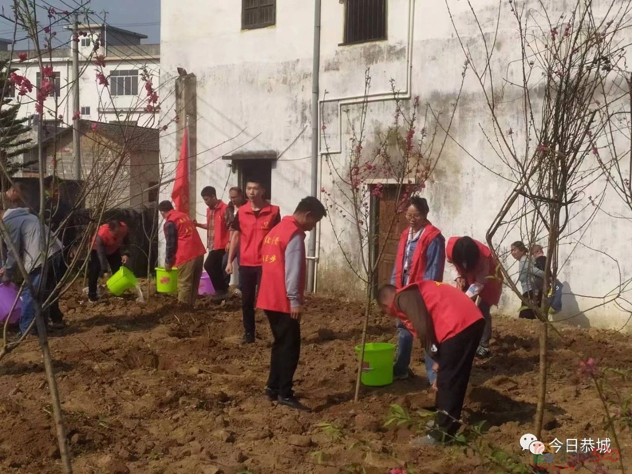 恭城西岭村：文明润瑶家 新风沐乡村210 / 作者:论坛小编01 / 帖子ID:305603