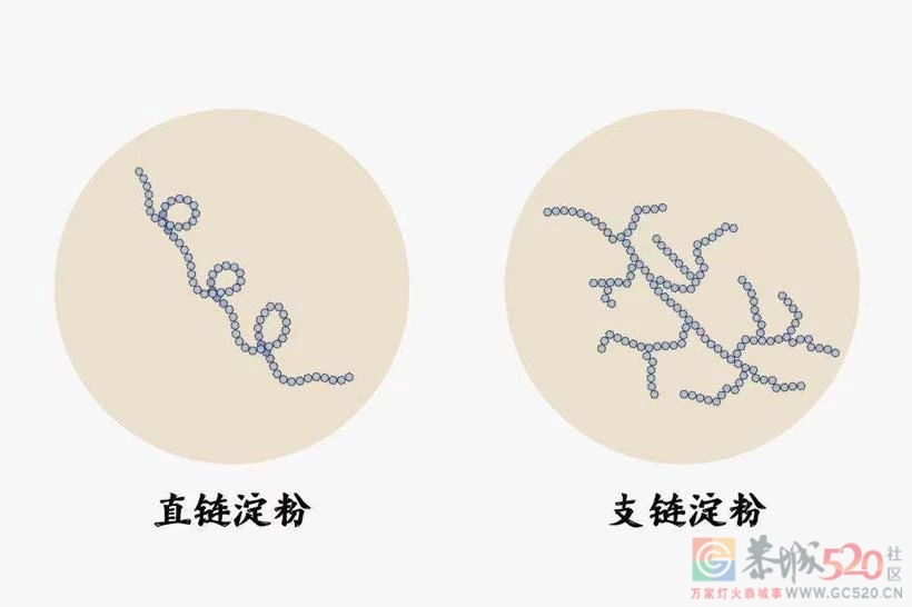 糯米到底好不好消化？「温度」起了关键作用804 / 作者:健康小天使 / 帖子ID:305729