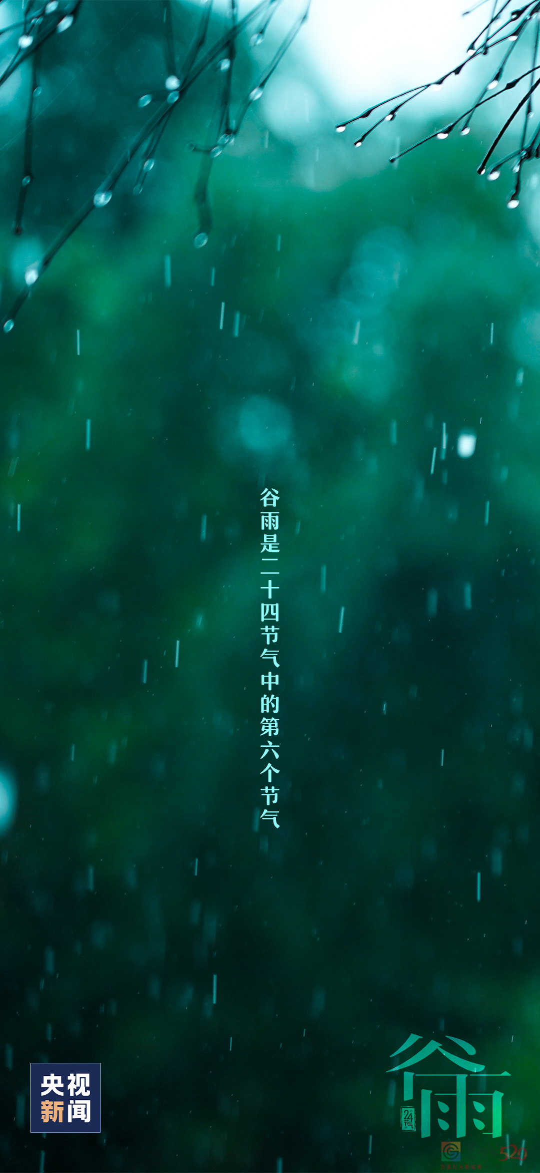 春归谷雨，夏日将至135 / 作者:登山涉水 / 帖子ID:306084