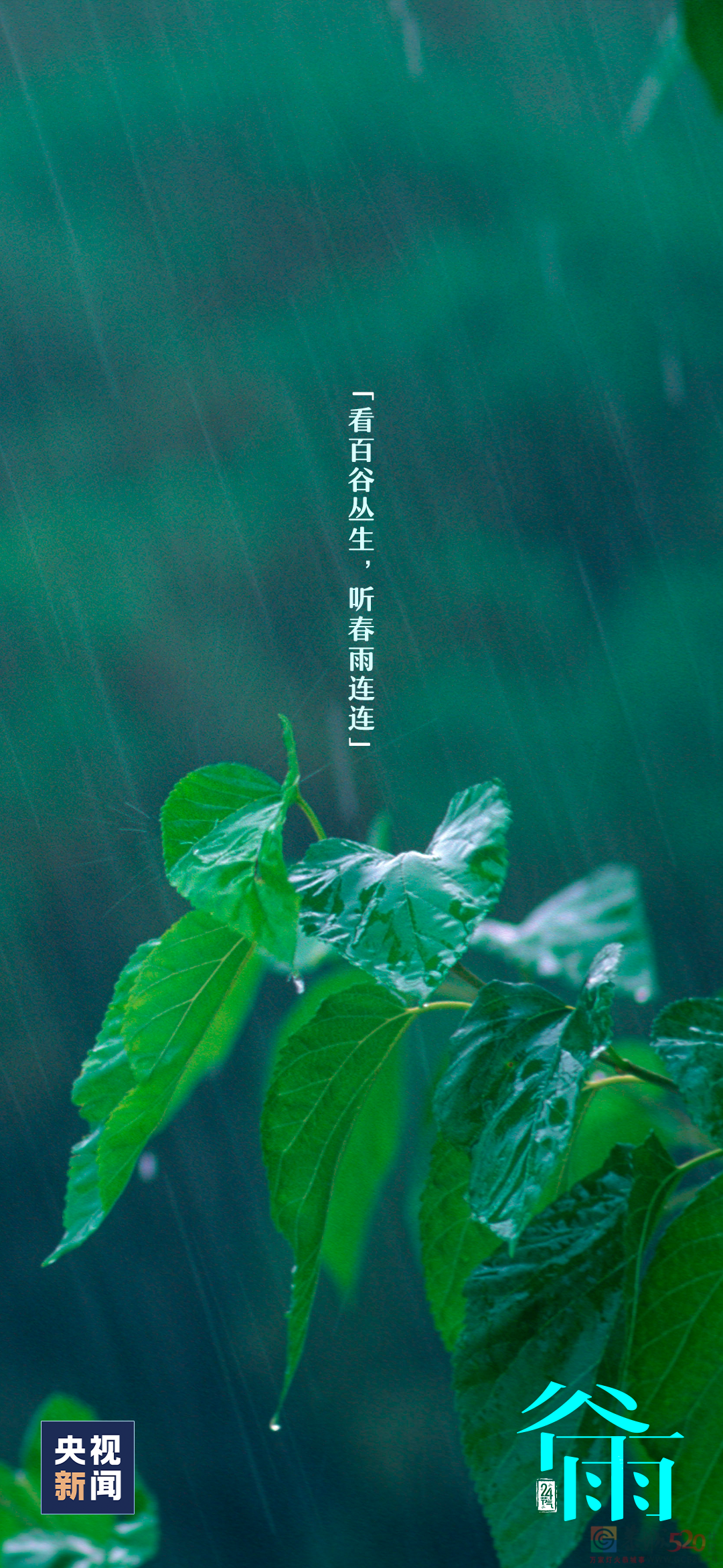 春归谷雨，夏日将至293 / 作者:登山涉水 / 帖子ID:306084