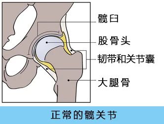 做不到这个动作的人，说明你的「髋关节」损耗大624 / 作者:健康小天使 / 帖子ID:307368