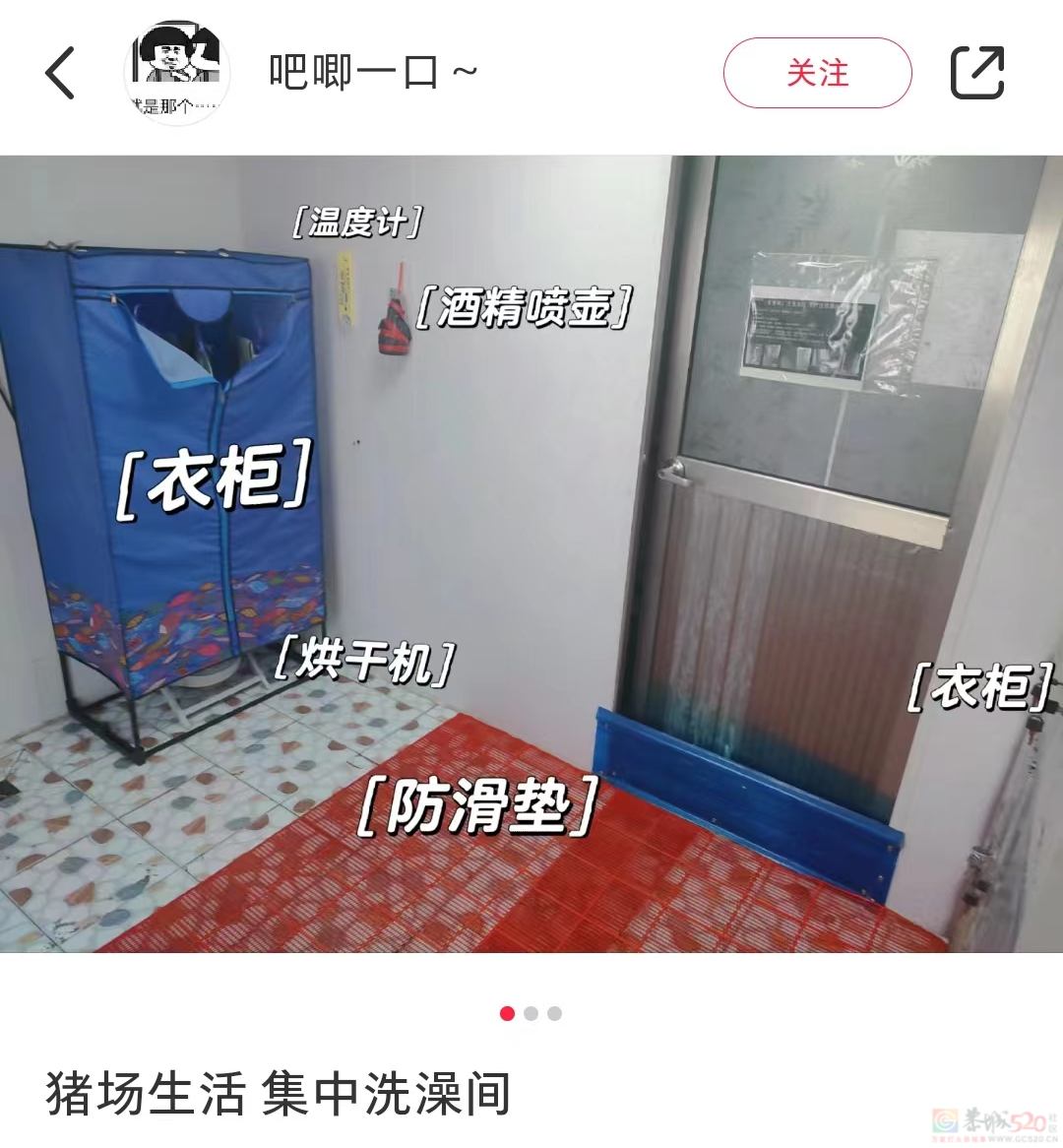 为什么在养猪场不能穿自己的内裤？333 / 作者:儿时的回忆 / 帖子ID:312583