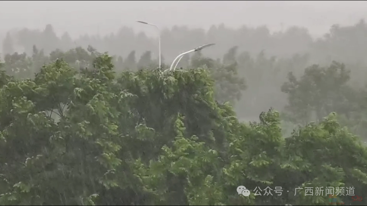 广西气象台今天发布暴雨蓝色预警，这些县(市、区)最大可能出现大暴雨→703 / 作者:尹以为荣 / 帖子ID:314844