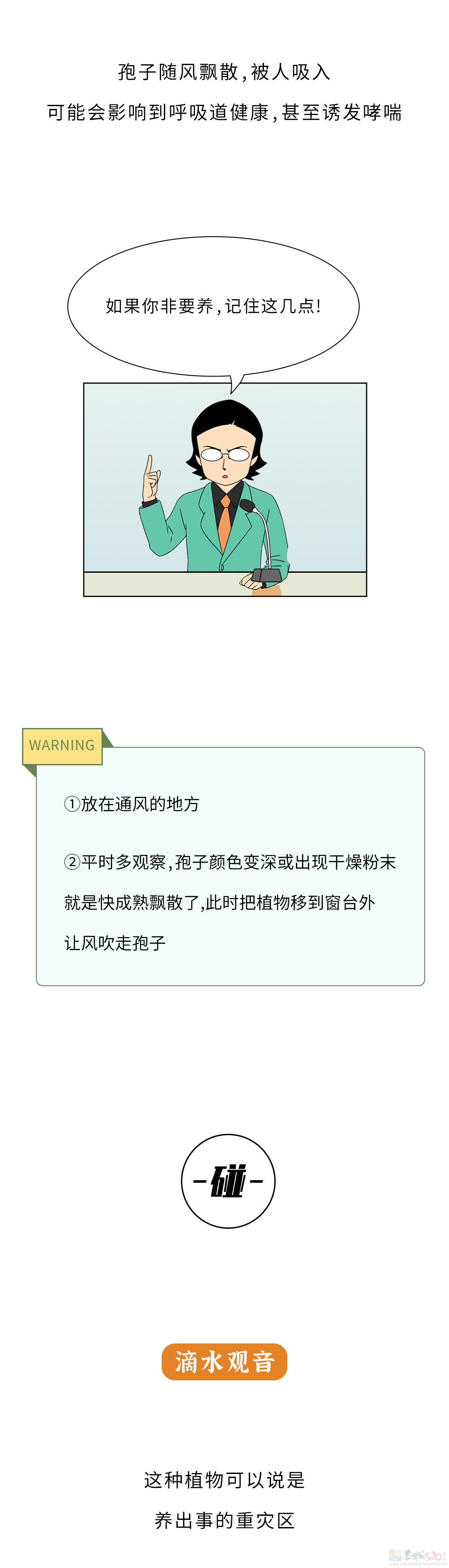 家里千万千万别放这10种绿植啊！！！(保命必看)912 / 作者:儿时的回忆 / 帖子ID:315066