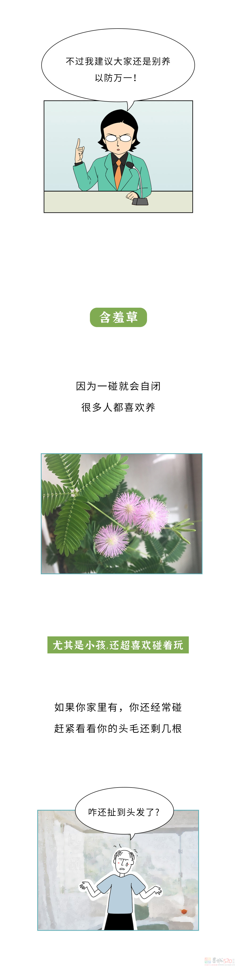 家里千万千万别放这10种绿植啊！！！(保命必看)32 / 作者:儿时的回忆 / 帖子ID:315066