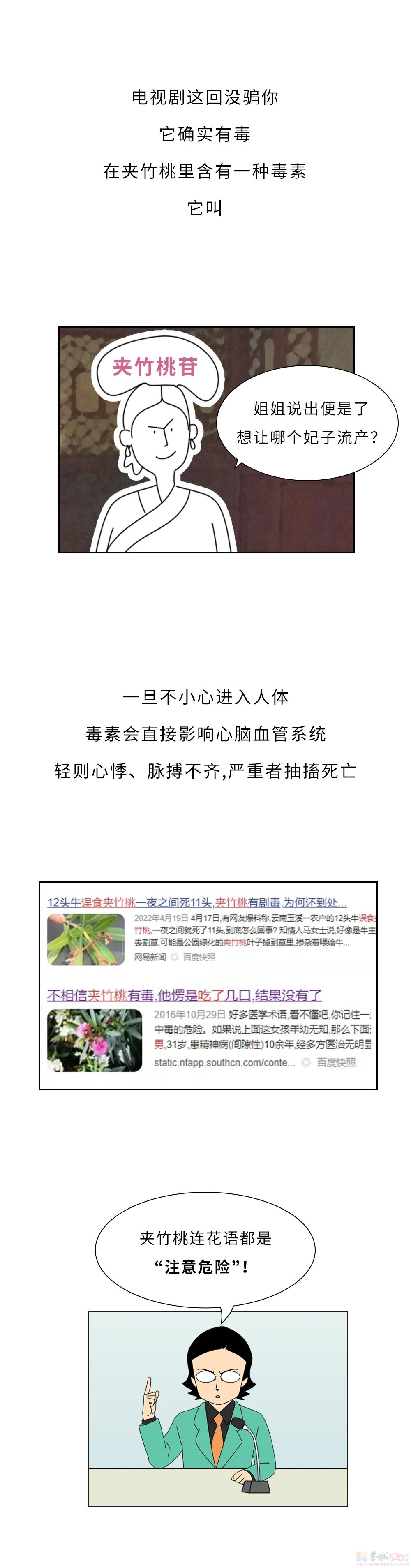 家里千万千万别放这10种绿植啊！！！(保命必看)480 / 作者:儿时的回忆 / 帖子ID:315066