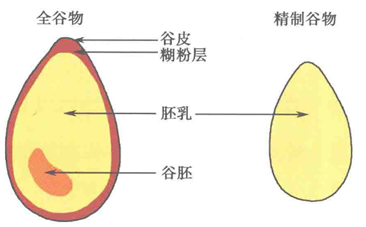 在中医眼里，「五谷」是最养人的食物314 / 作者:健康小天使 / 帖子ID:315148