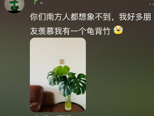 “路边杂草火成中产网红单品”，广东人看完立刻扛锄头去挖331 / 作者:儿时的回忆 / 帖子ID:315204