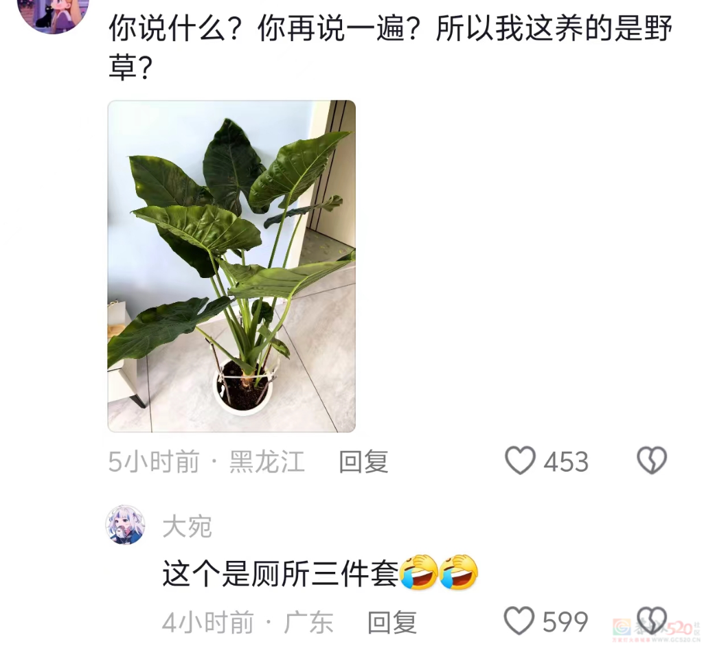 “路边杂草火成中产网红单品”，广东人看完立刻扛锄头去挖777 / 作者:儿时的回忆 / 帖子ID:315204