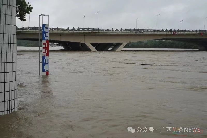 广西发生超警洪水！停航停运！景区关闭！河堤商户“搬家”496 / 作者:尹以为荣 / 帖子ID:315758