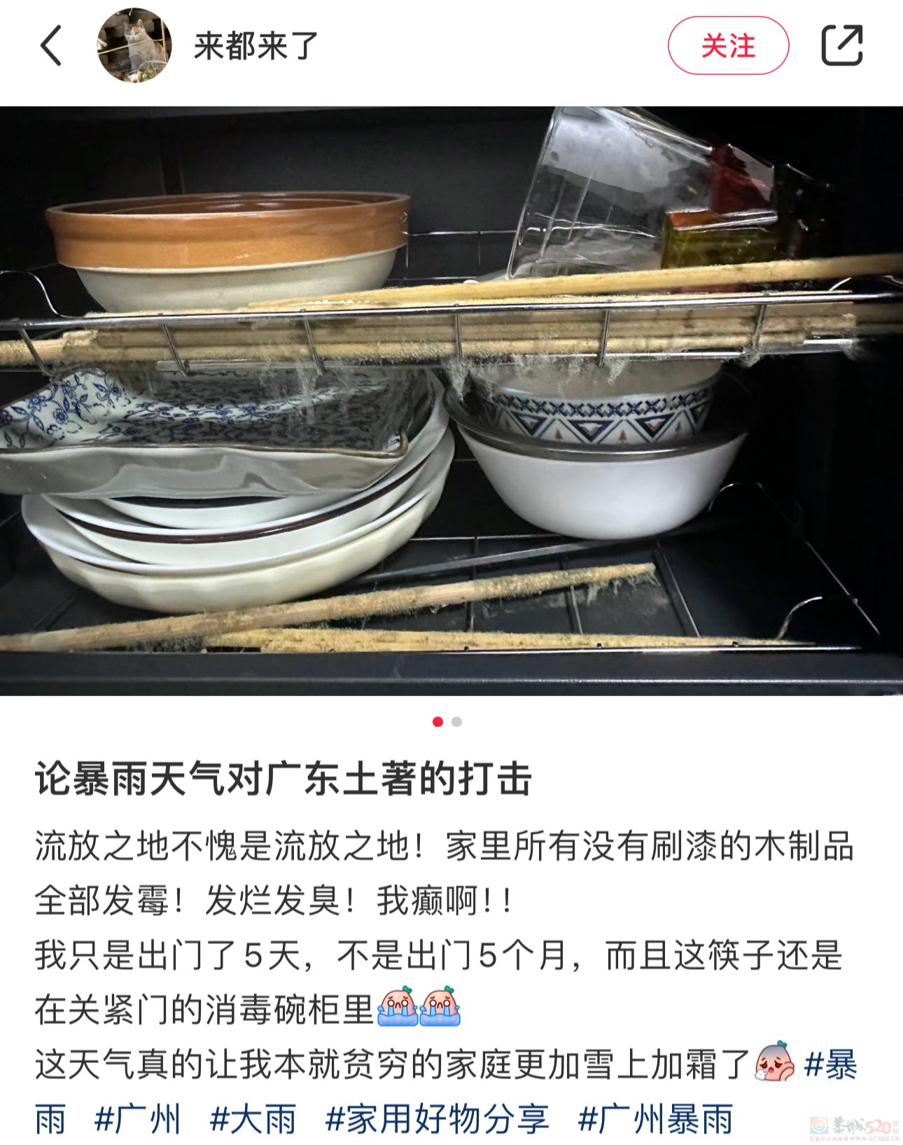 南方人最近从头到脚发霉，“总算明白发配岭南有多可怕了”864 / 作者:儿时的回忆 / 帖子ID:315784