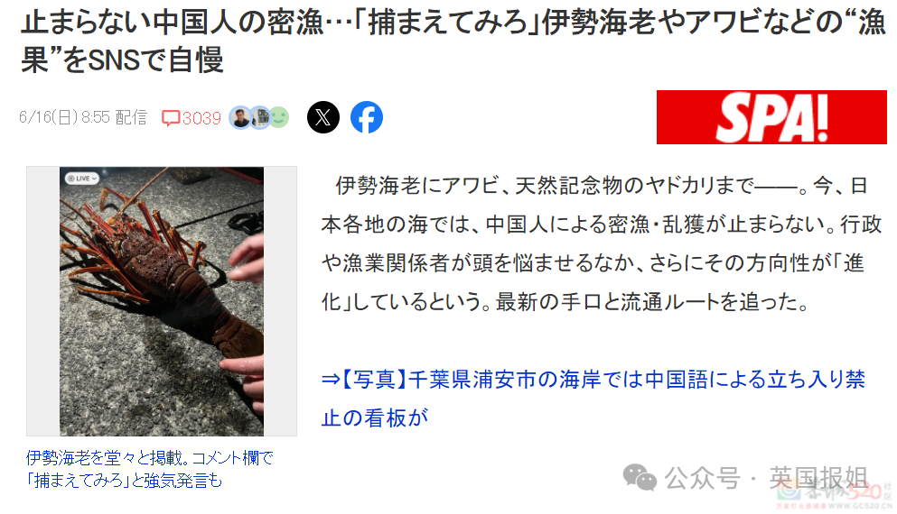 中国游客日本赶海，狂捞龙虾鲍鱼被罚几万差点坐牢？有人竟放言挑衅“来抓我呀？”577 / 作者:放眼看世界 / 帖子ID:315789