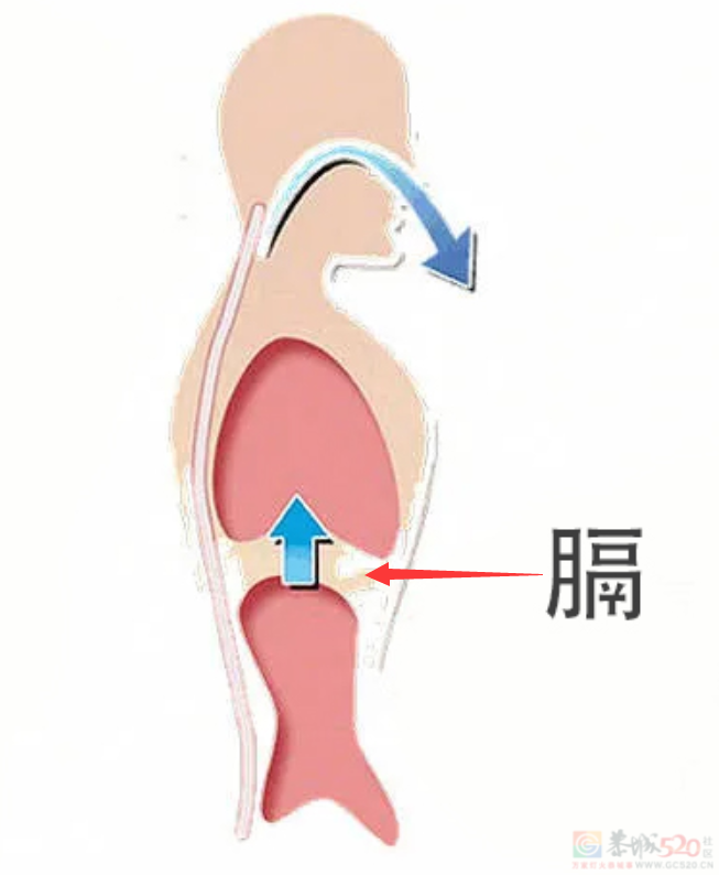 身体“上热下寒”的人，是哪里出了问题？136 / 作者:健康小天使 / 帖子ID:315956