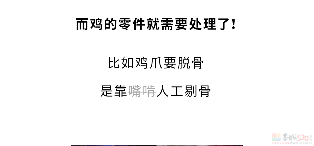 为什么买整只鸡这么便宜，买鸡的身体零件却这么贵？????19 / 作者:儿时的回忆 / 帖子ID:316253