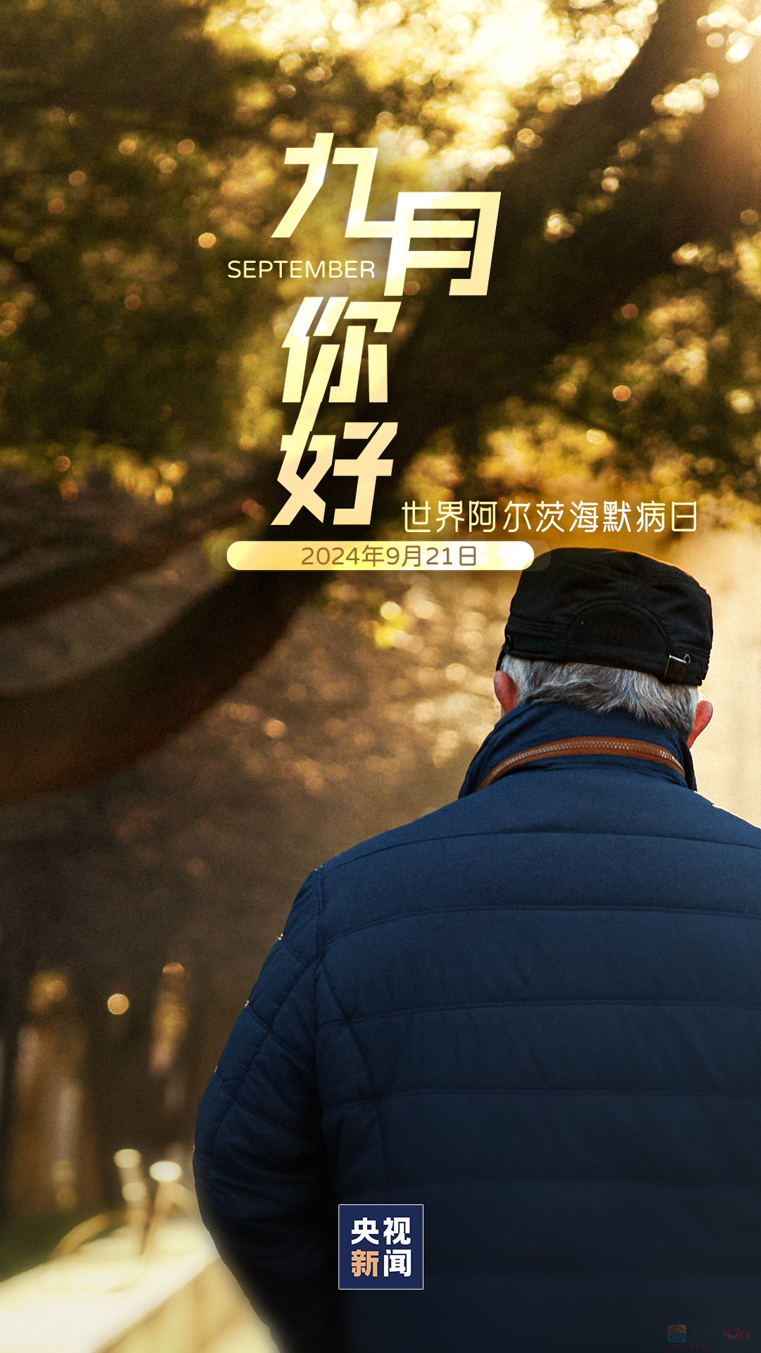 9月，你好！679 / 作者:登山涉水 / 帖子ID:316818