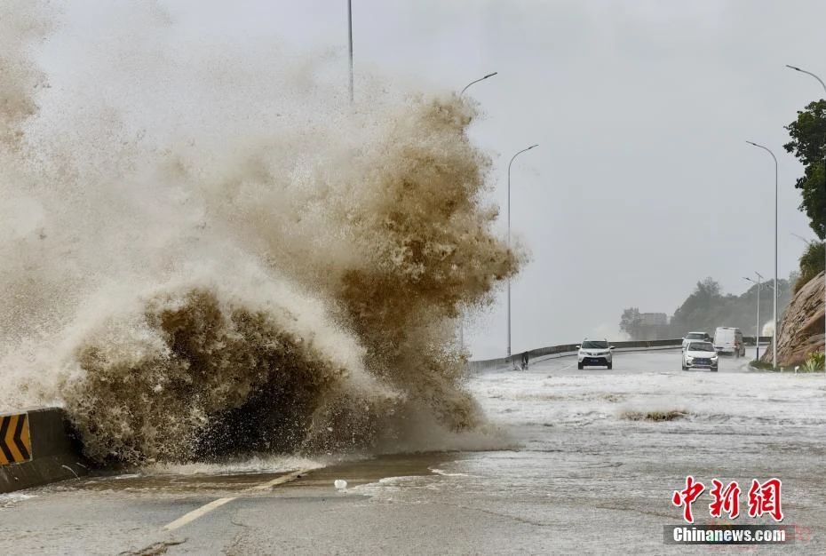 停工、停课、停市…超强台风抵近广西，已经狂风暴雨207 / 作者:尹以为荣 / 帖子ID:316891