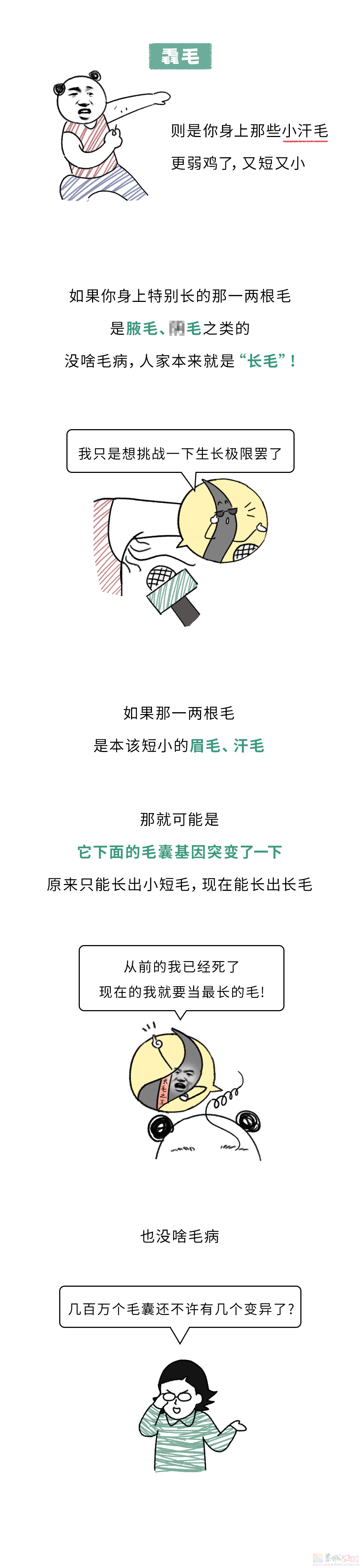 为啥身上会长出一两根特别长的毛毛？？？797 / 作者:儿时的回忆 / 帖子ID:316916