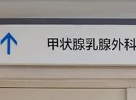 甲状腺和乳腺，为什么经常一起长结节？498 / 作者:健康小天使 / 帖子ID:316930