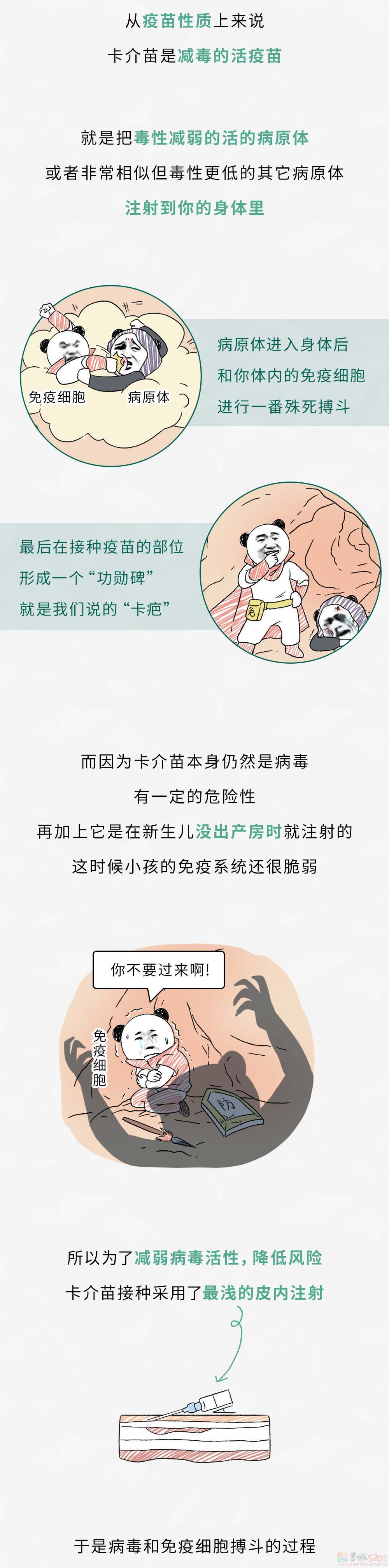 小时候打完针留在胳膊上的小花，为啥有些人有，有些人没有？？????288 / 作者:儿时的回忆 / 帖子ID:317022