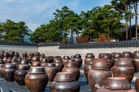 韩国香蕉牛奶申遗！议员力推50年老字号成“国家级文物”，网友：那老干妈、椰奶、北冰洋也行咯？836 / 作者:放眼看世界 / 帖子ID:317140