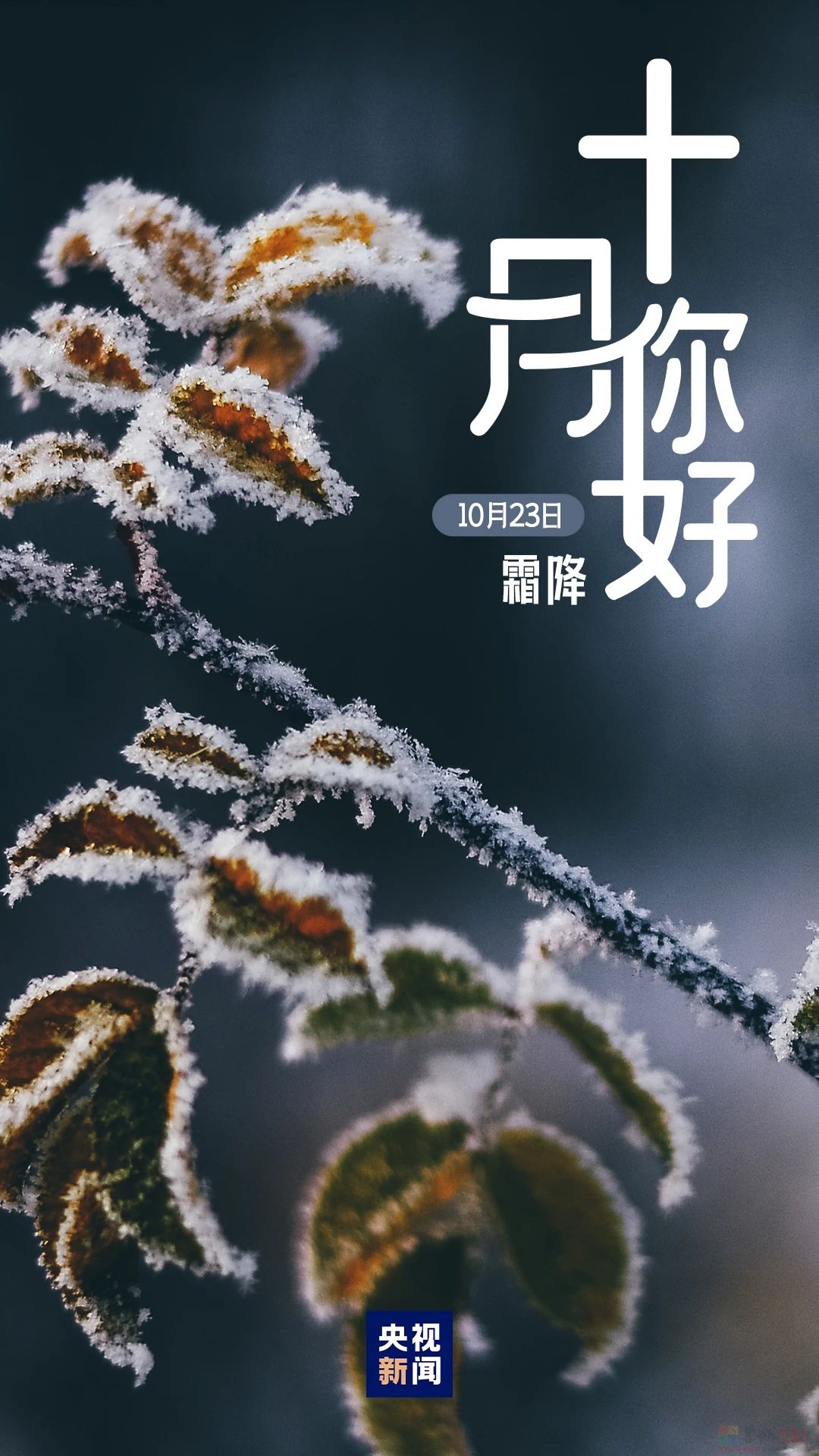 十月，你好！235 / 作者:登山涉水 / 帖子ID:317226