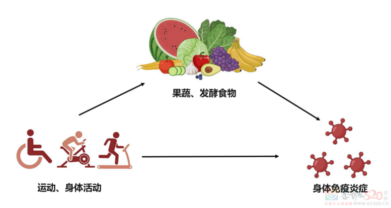 抗衰老最佳生活方式来了！研究发现：做好这3件事，抗衰又延寿！662 / 作者:健康小天使 / 帖子ID:317358