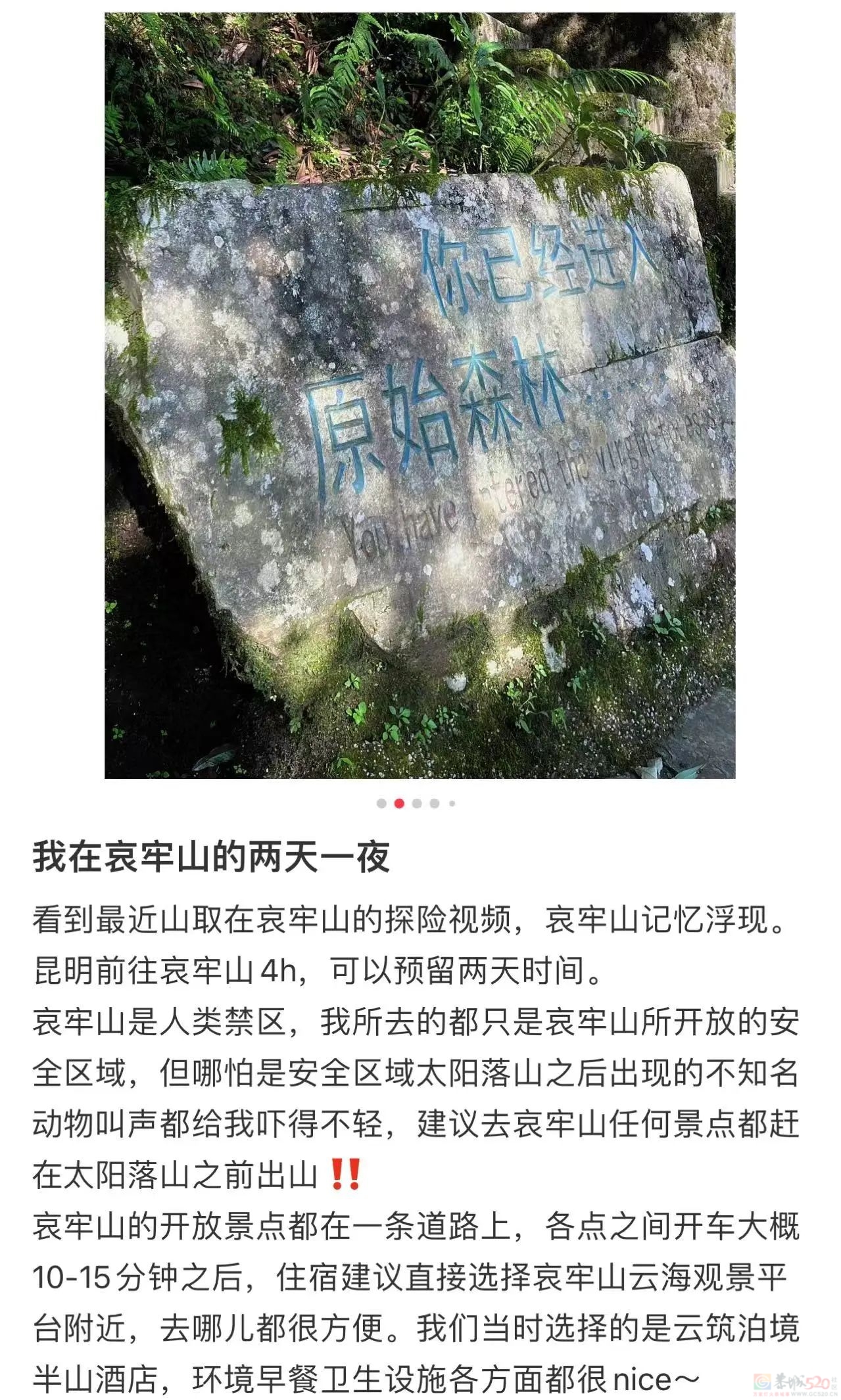 在热搜上被传得神秘邪乎，哀牢山越火、当地文旅越慌800 / 作者:儿时的回忆 / 帖子ID:317370