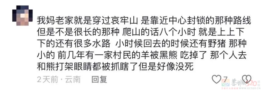 在热搜上被传得神秘邪乎，哀牢山越火、当地文旅越慌723 / 作者:儿时的回忆 / 帖子ID:317370