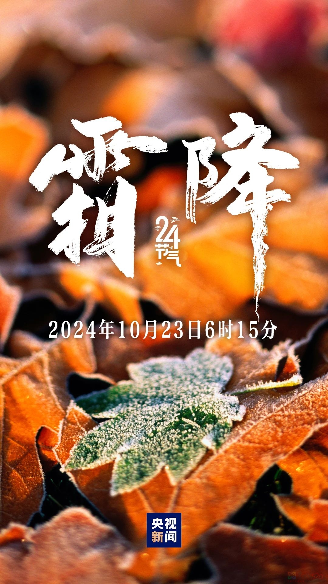 秋季最后一个节气，来了~33 / 作者:登山涉水 / 帖子ID:317504