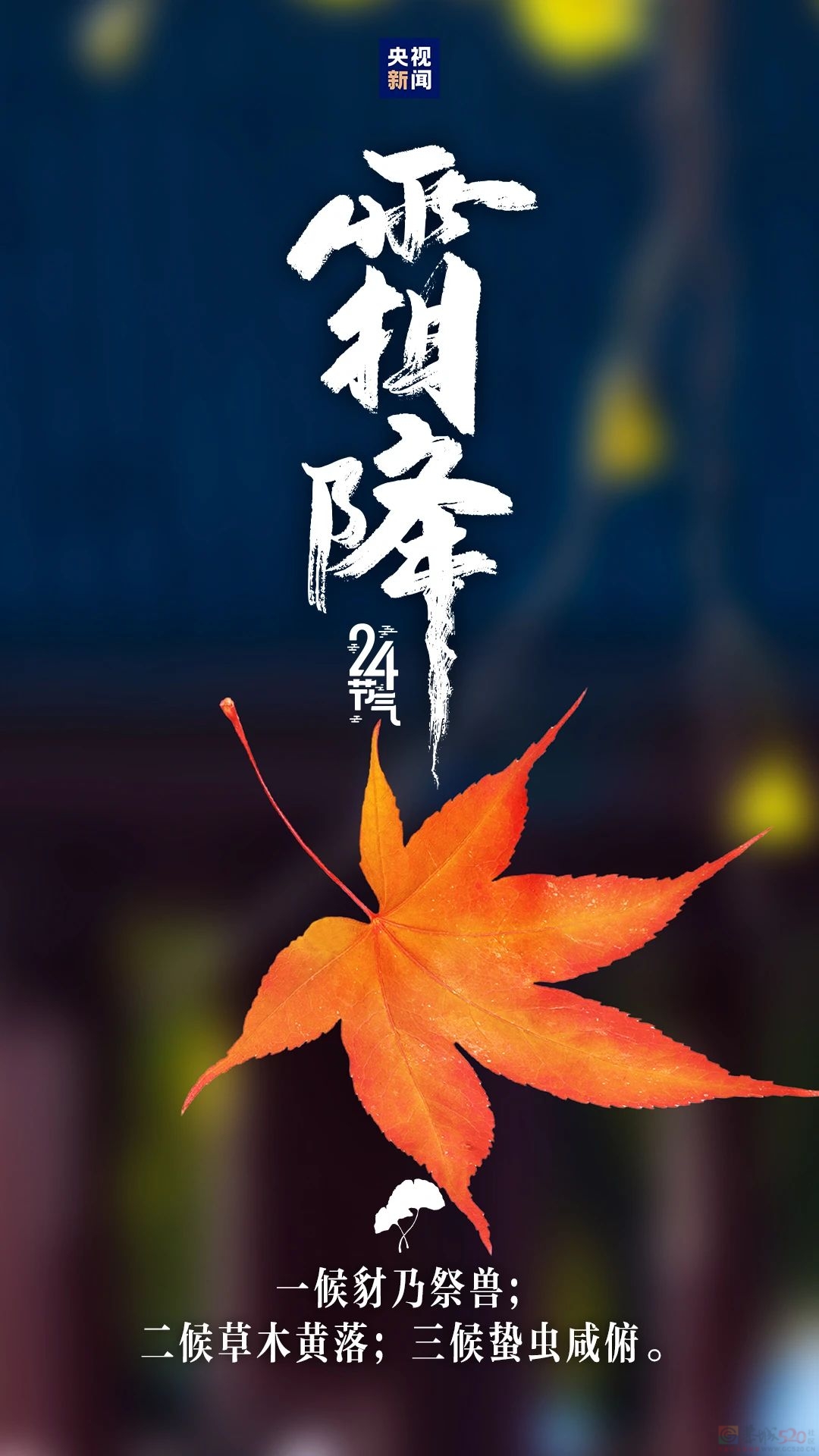 秋季最后一个节气，来了~267 / 作者:登山涉水 / 帖子ID:317504