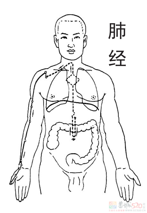 总在半夜同一个时间醒来，是怎么回事？318 / 作者:健康小天使 / 帖子ID:317717