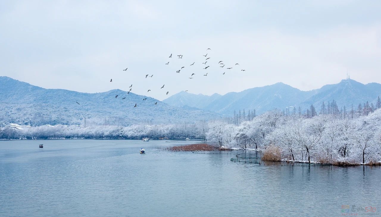 今日小雪914 / 作者:登山涉水 / 帖子ID:317898