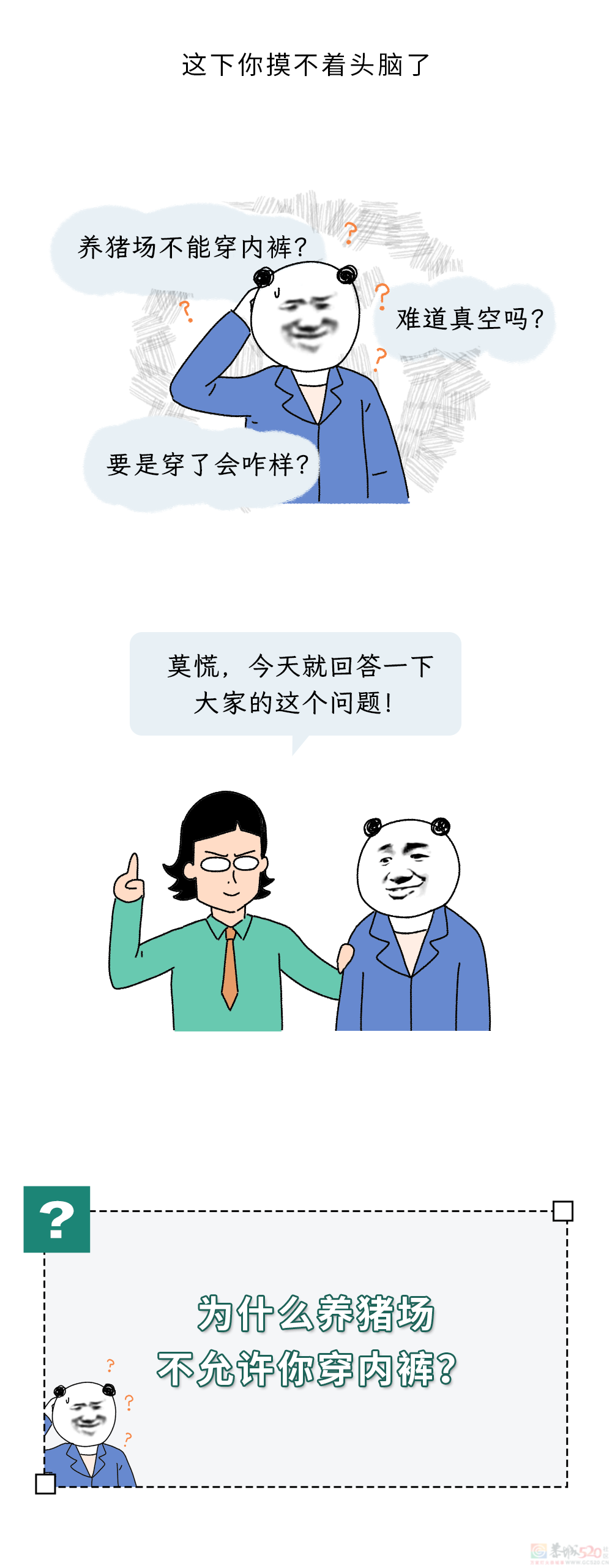 为什么不能在养猪场穿自己的内裤？909 / 作者:儿时的回忆 / 帖子ID:317907