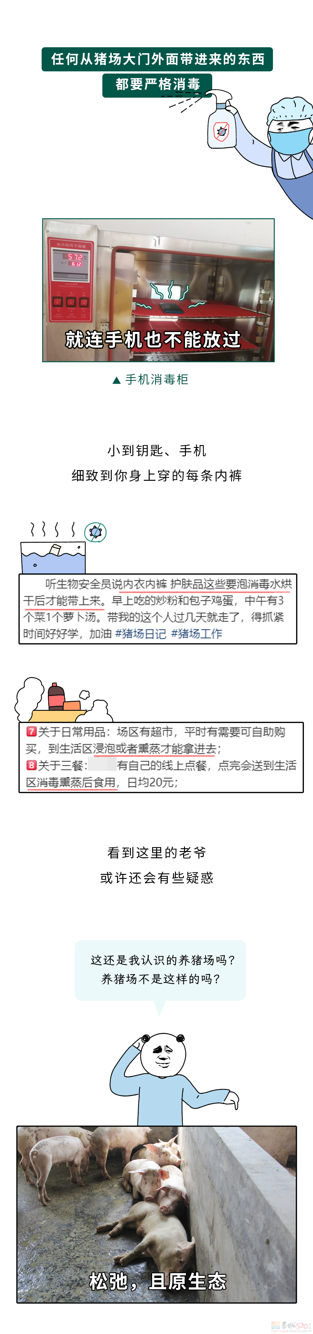 为什么不能在养猪场穿自己的内裤？134 / 作者:儿时的回忆 / 帖子ID:317907