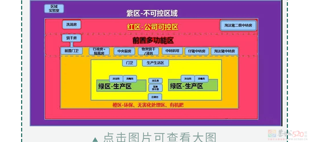 为什么不能在养猪场穿自己的内裤？744 / 作者:儿时的回忆 / 帖子ID:317907