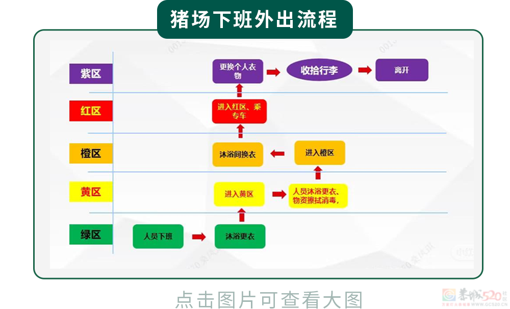 为什么不能在养猪场穿自己的内裤？525 / 作者:儿时的回忆 / 帖子ID:317907