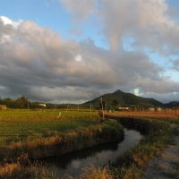 田间.地头.傍晚...