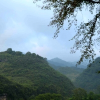 观音乡石坪村毛公山