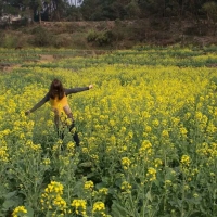 燕子山油菜花地一游