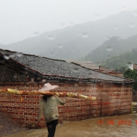 无情雨