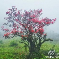 人间仙境，雾里看花——恭城三江棋盘界