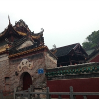 这两天落大雨拍的照片我怎么拍都拍不了那雨丝