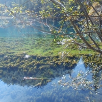 再发一张远索爱I51的风景照