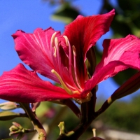 天天黄片 来点花片