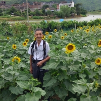 虎溪葵花园.古民居